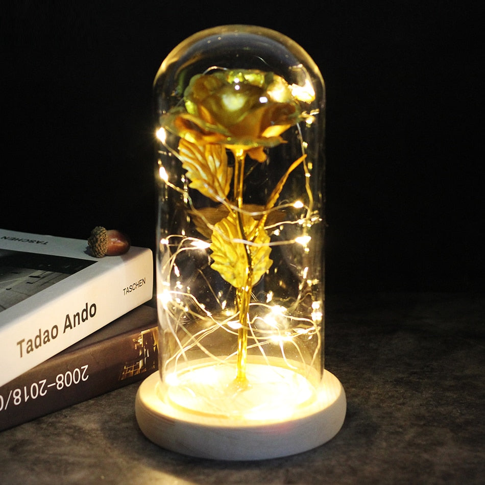 SALE Light Up Rose Domes