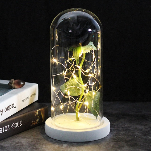 SALE Light Up Rose Domes