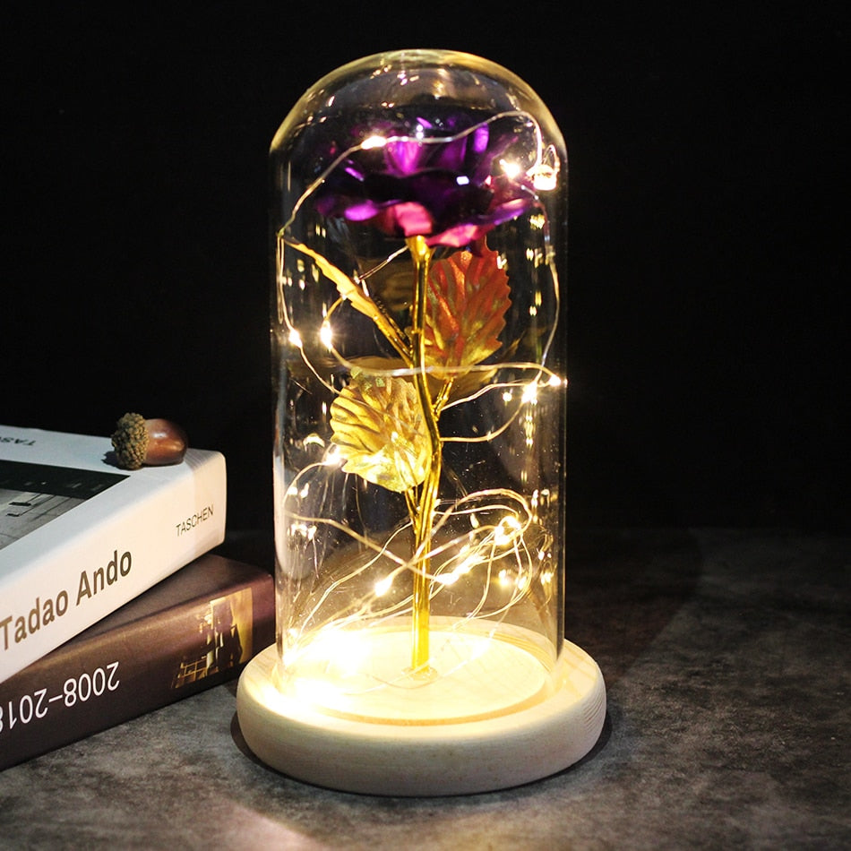 SALE Light Up Rose Domes