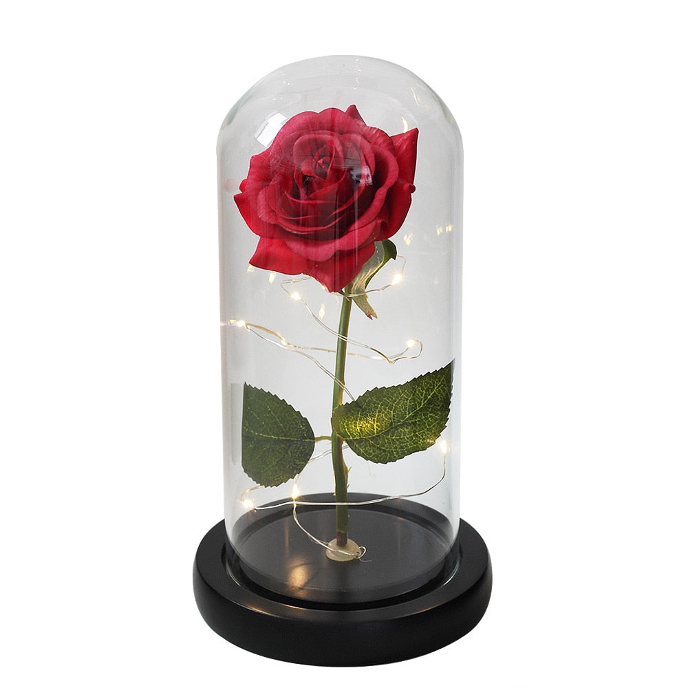 SALE Light Up Rose Domes