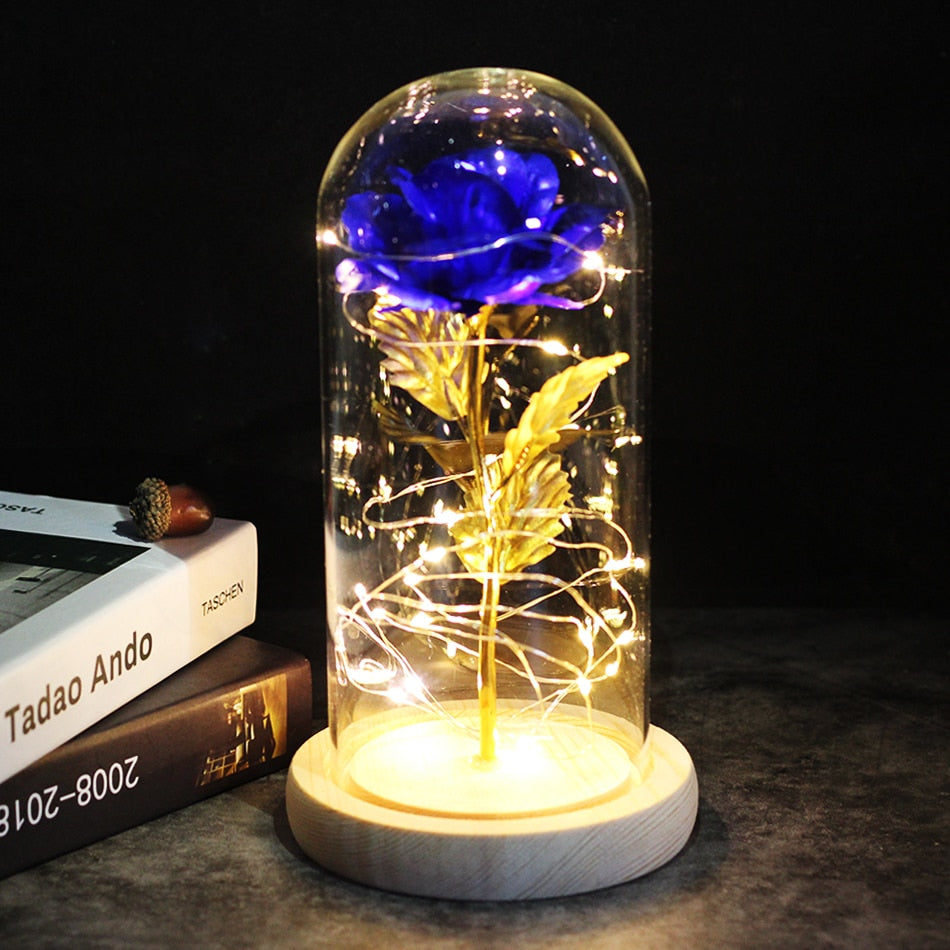 SALE Light Up Rose Domes