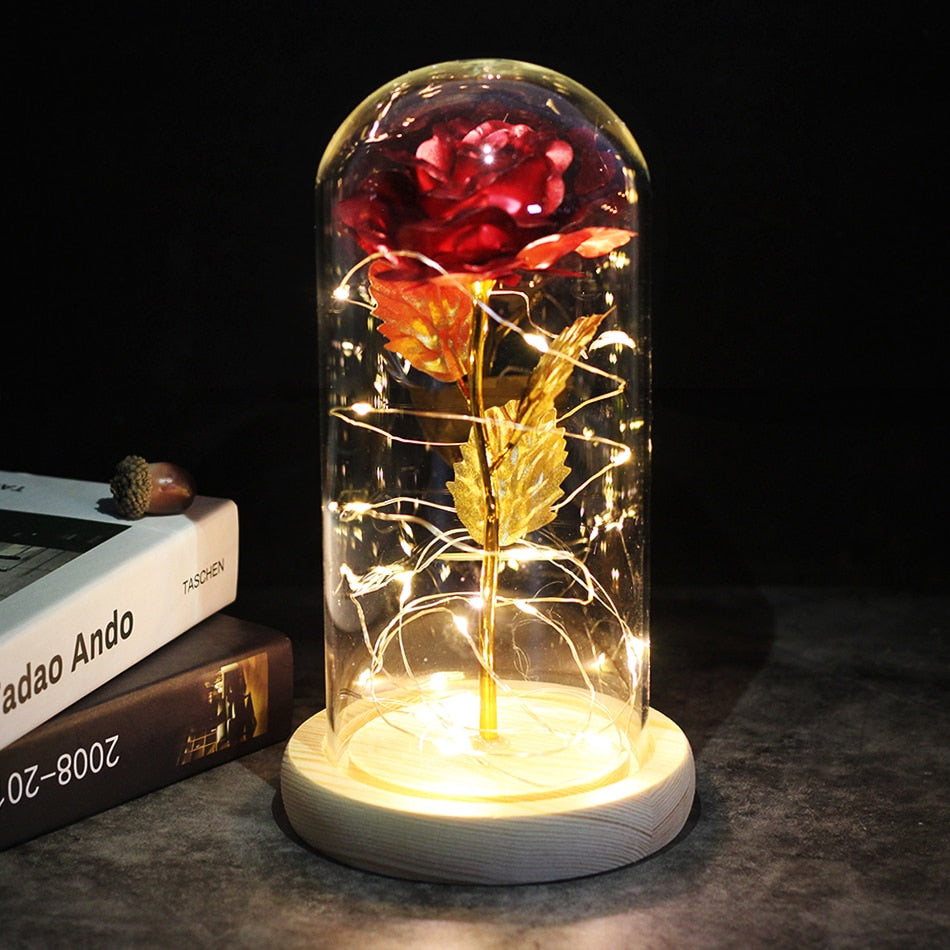 SALE Light Up Rose Domes