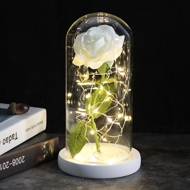 SALE Light Up Rose Domes