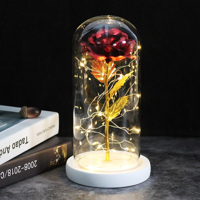 SALE Light Up Rose Domes