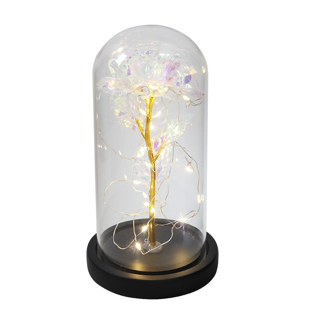 SALE Light Up Rose Domes