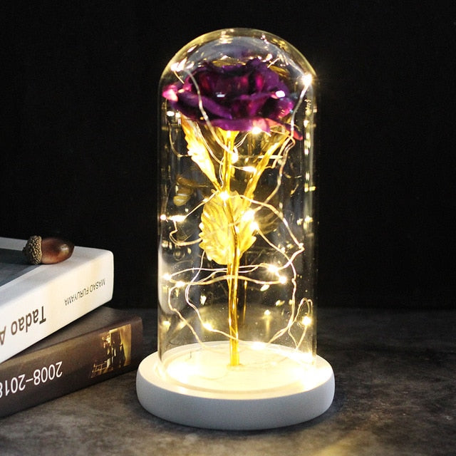 SALE Light Up Rose Domes