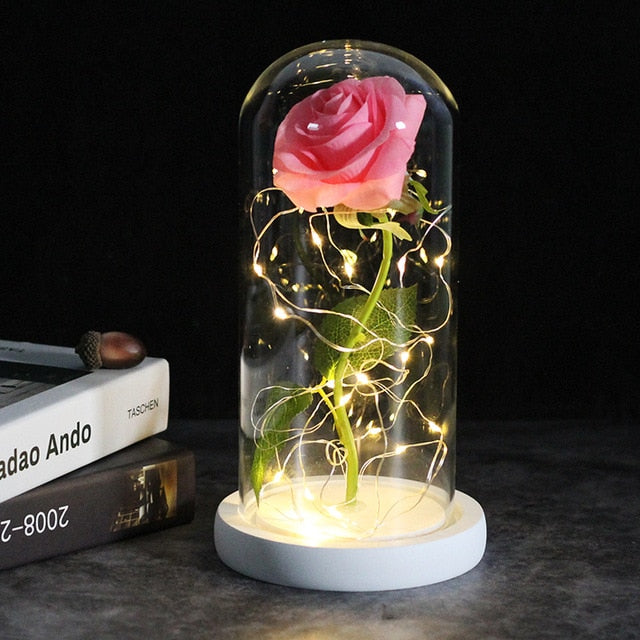 SALE Light Up Rose Domes