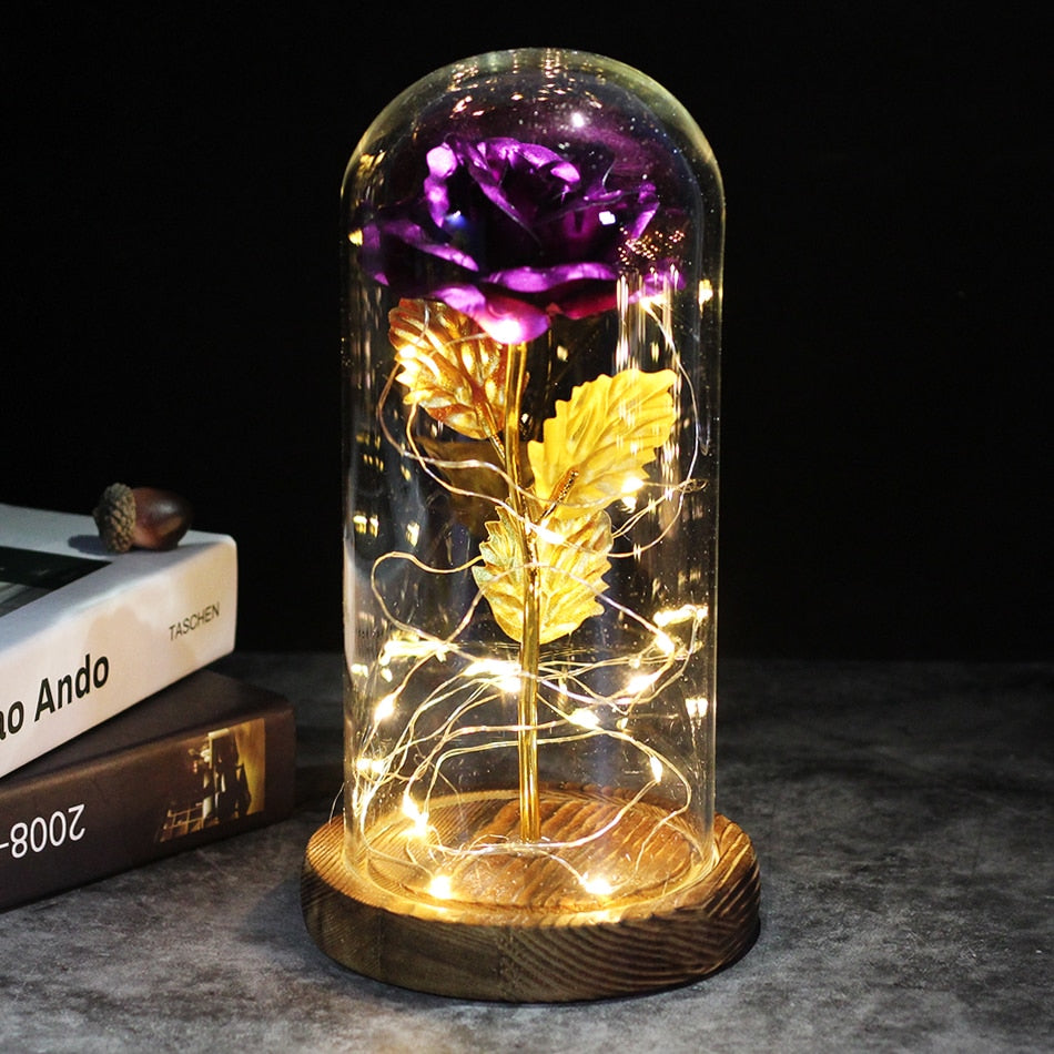 SALE Light Up Rose Domes