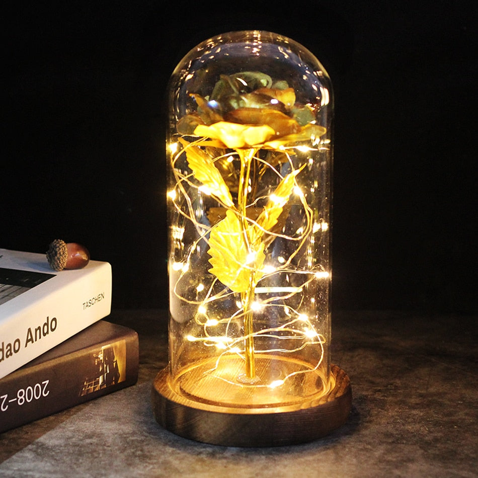 SALE Light Up Rose Domes