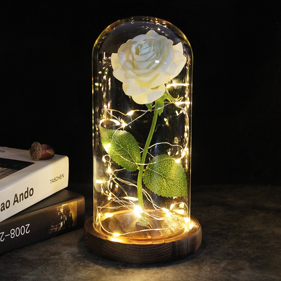 SALE Light Up Rose Domes