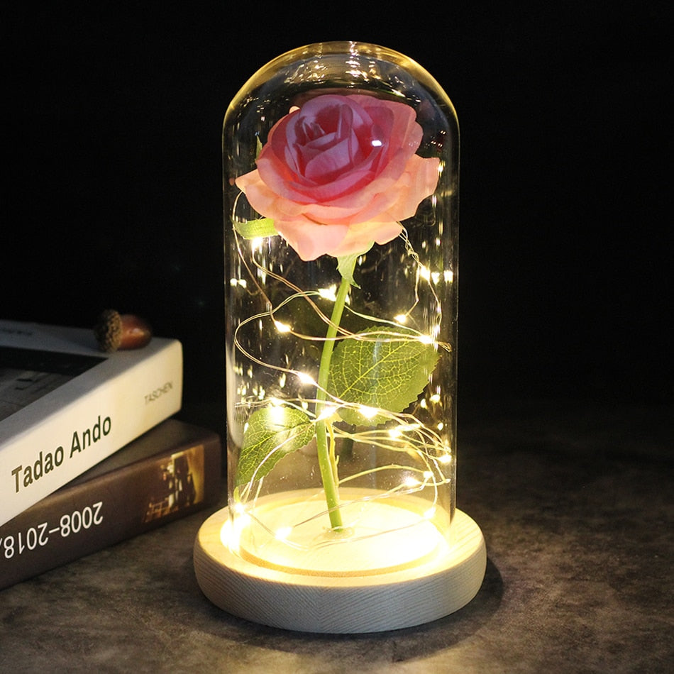 SALE Light Up Rose Domes