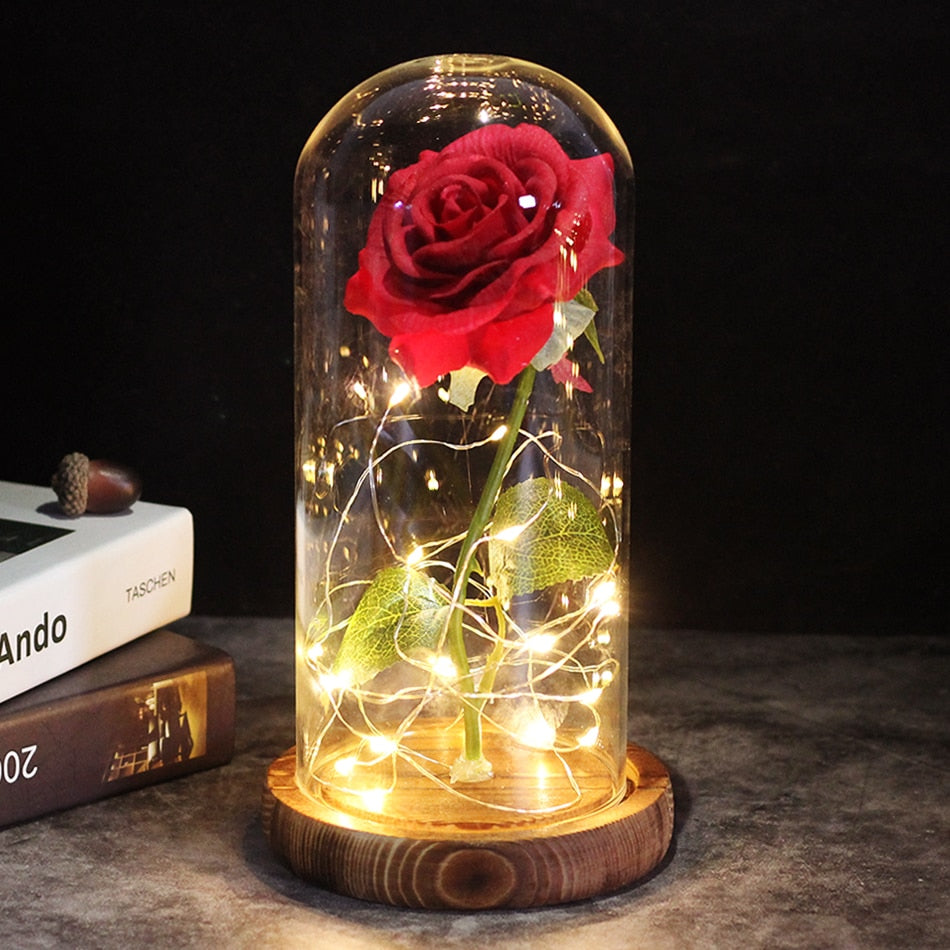 SALE Light Up Rose Domes