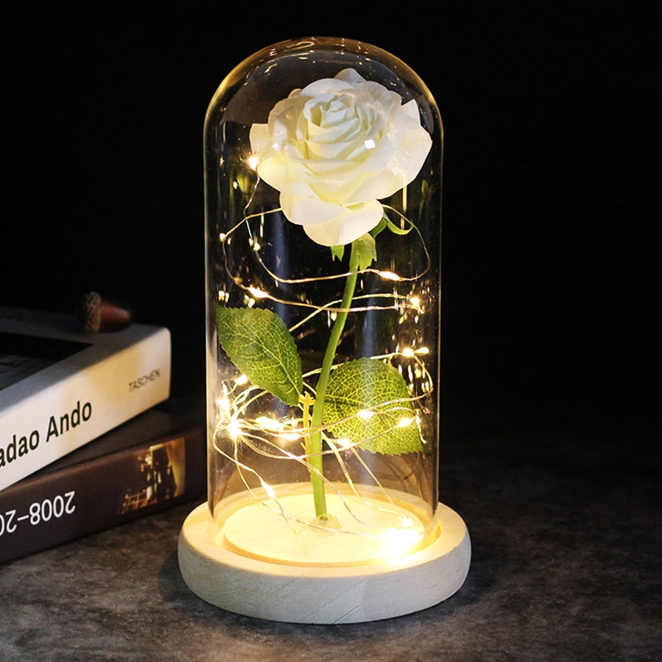 SALE Light Up Rose Domes