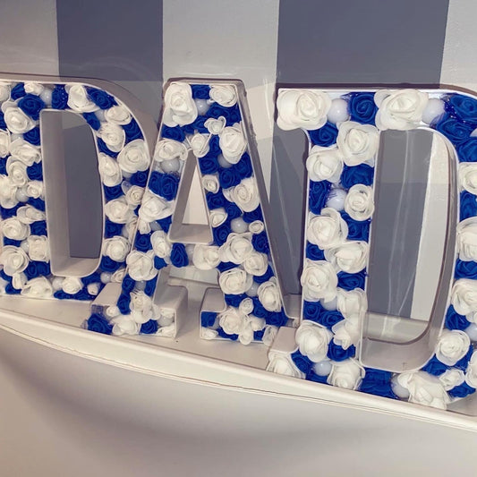 Blue and White LED Letter Initial  Lights